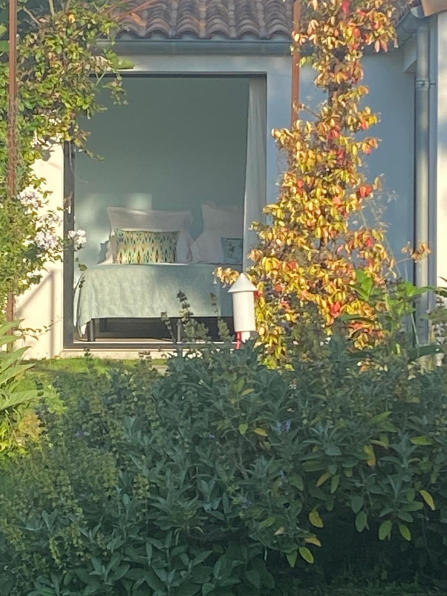 Mornac-sur-Seudre Le 5 Bis B&B 외부 사진